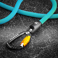 climbing rope dog leash teal