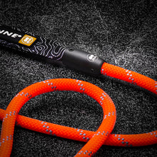 orange rope leash