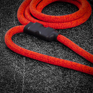 dog lead leash with traffic handle rope