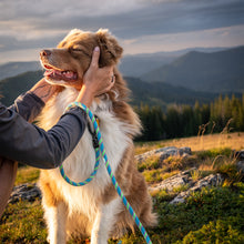 rope dog leash 