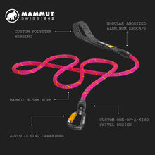 pink climbing rope dog leash 