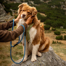 tuenne_climbing_rope_dog_leash