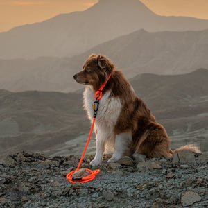 Boulder Hybrid Dog Leash