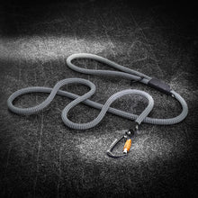 tuenne_climbing_rope_dog_leash