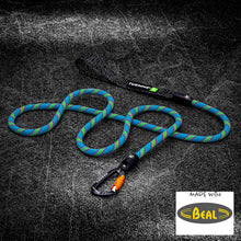 tuenne turquoise climbing rope carabiner